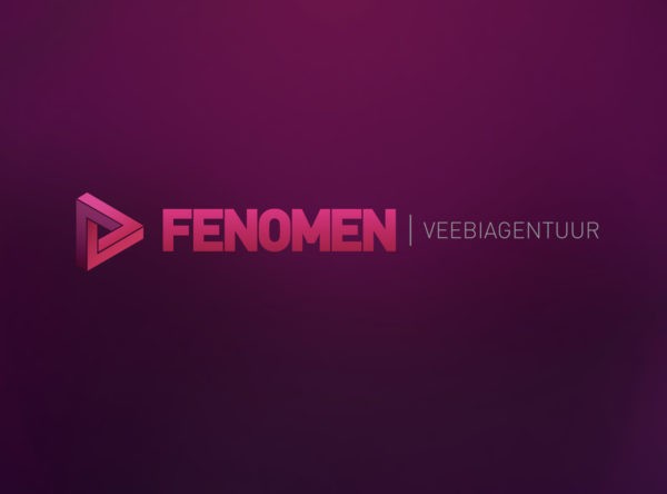 Veebiagentuur logo disainimine