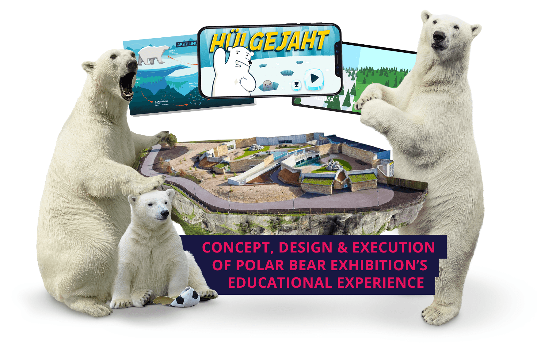 Concept, Design & Execution of Polar Bear Exhibition’s Educational Experience